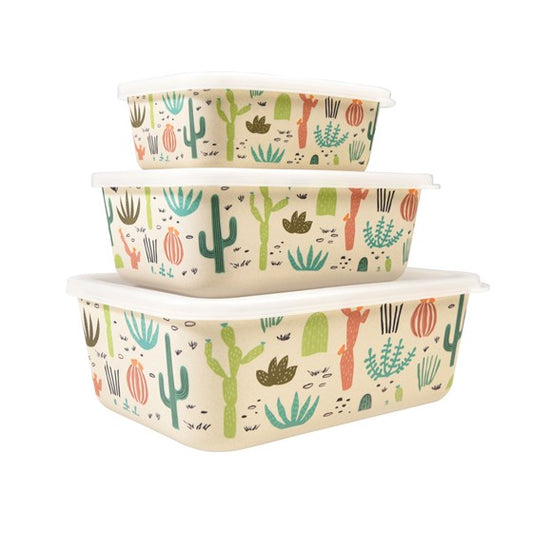 opbergdozen cactus cacti storage boxes