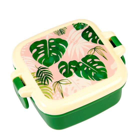 snack doosjes tropisch palm monstera planten plants