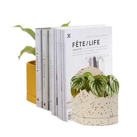 Sol Pot - Fossil Terrazzo