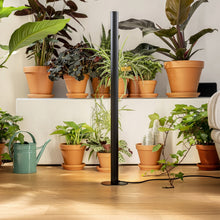 Afbeelding in Gallery-weergave laden, groeilamp beste voor planten best grow light for plants
