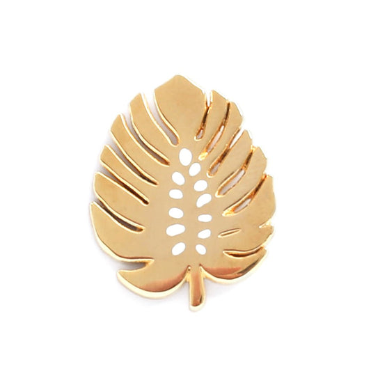pin plant plants planten badge cactus vetplant succulent