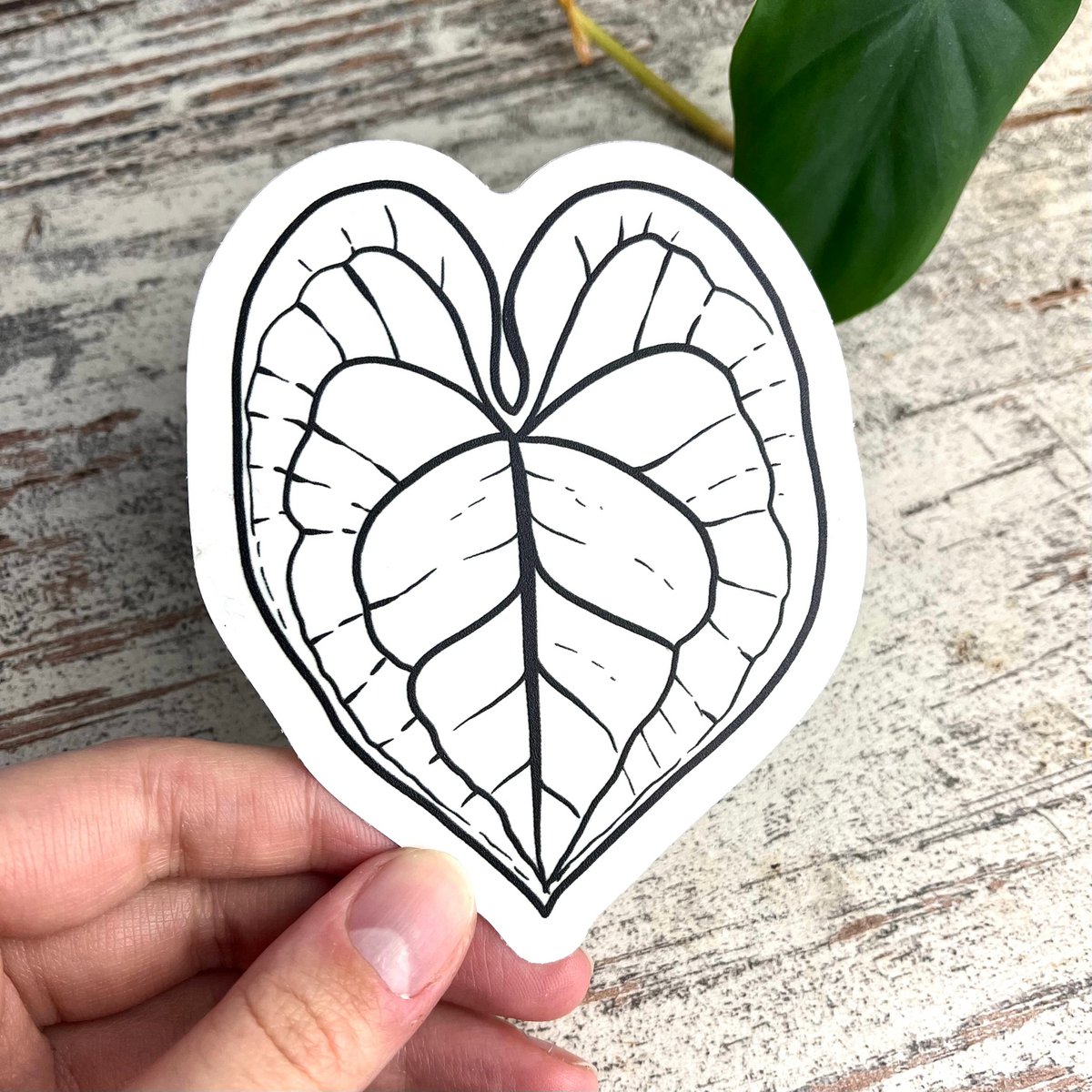Regenboog Sticker - Anthurium Blad