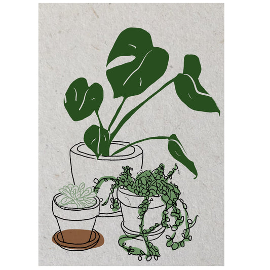 wenskaart planten