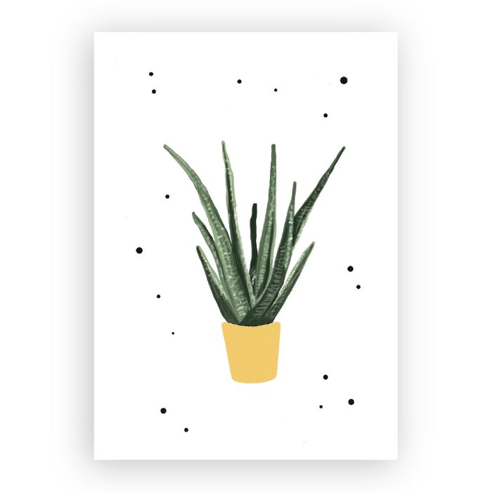 wenskaart aloe vera