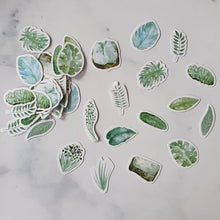 Afbeelding in Gallery-weergave laden, stickers planten plants plant love plantlovers plantenliefhebbers
