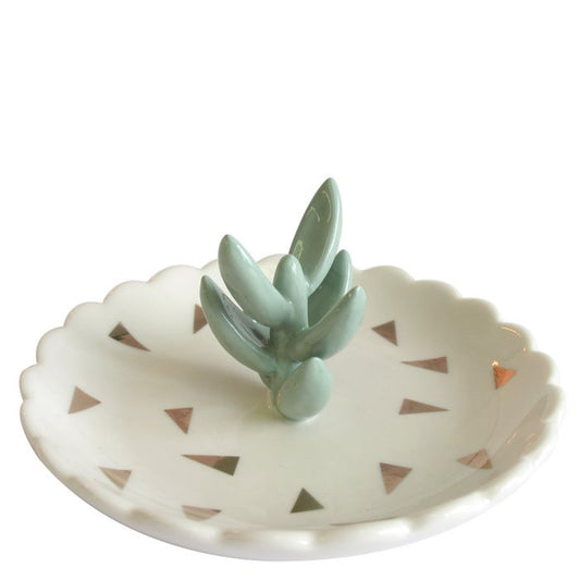 Vetplant Schaaltje