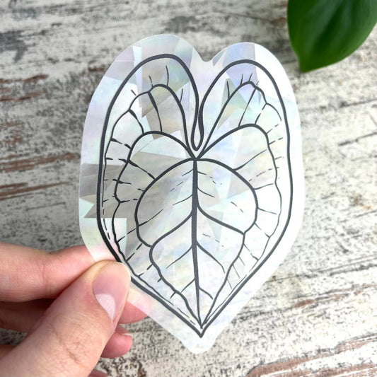 Regenboog Sticker - Anthurium Blad