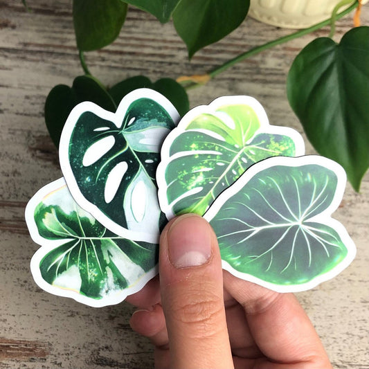 Magneten Set 4 - Variegated Planten L