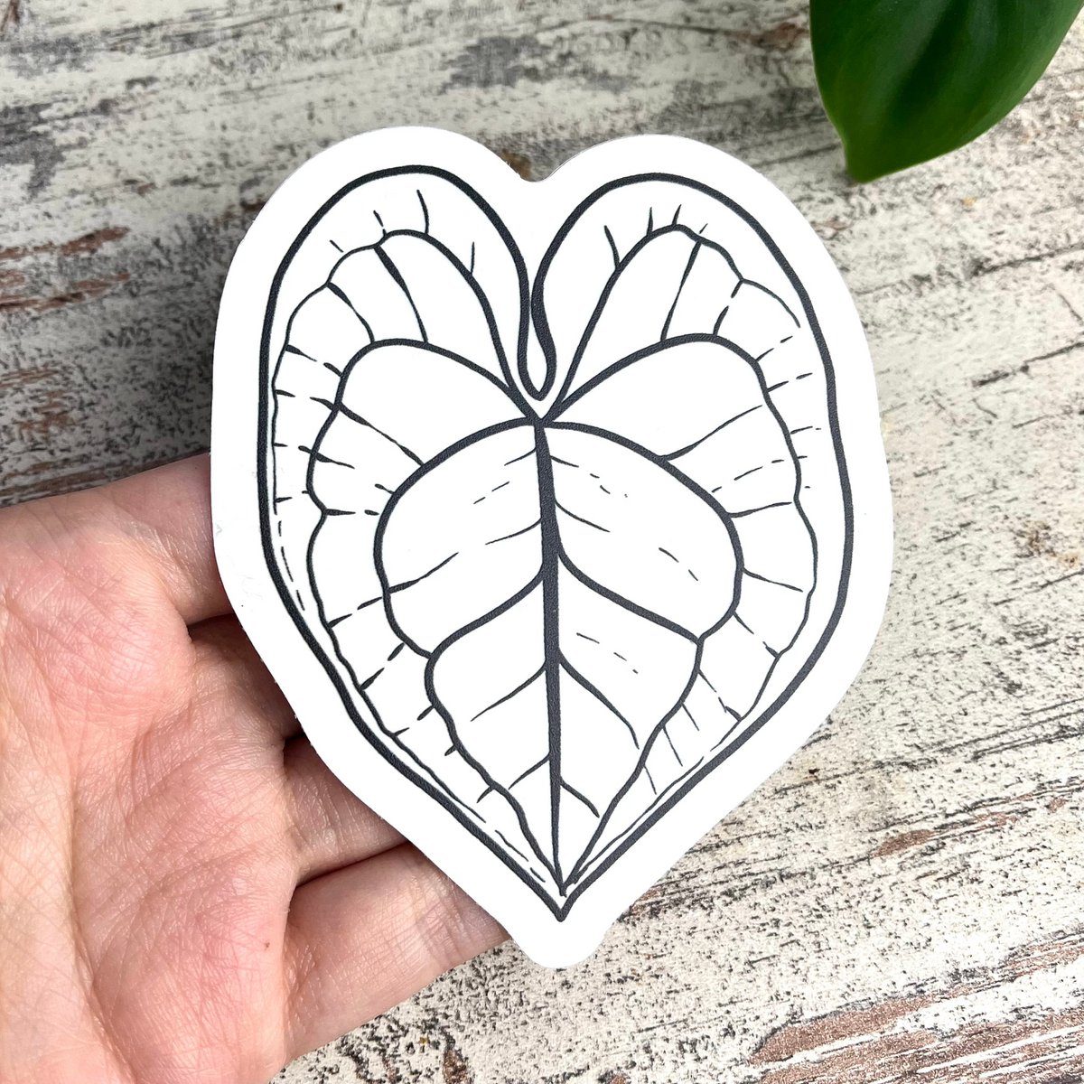 Regenboog Sticker - Anthurium Blad