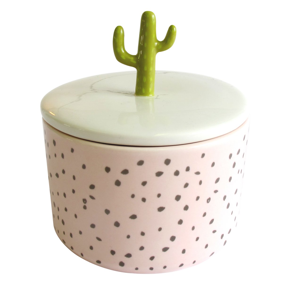storage jar bokaal cactus vetplant plant love plantenliefhebber