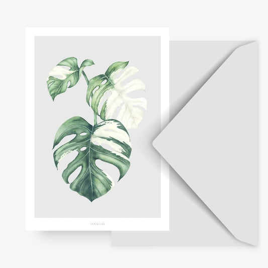 Kaartje - Tropical No.5
