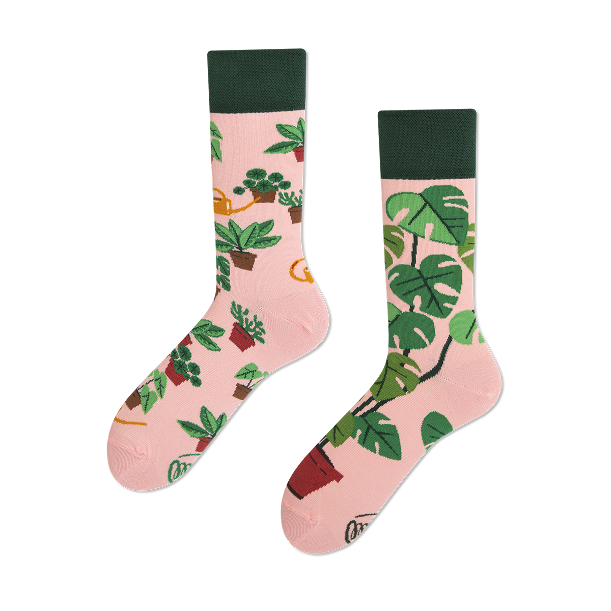 plant lover socks many mornings plantenliefhebbers planten kousen