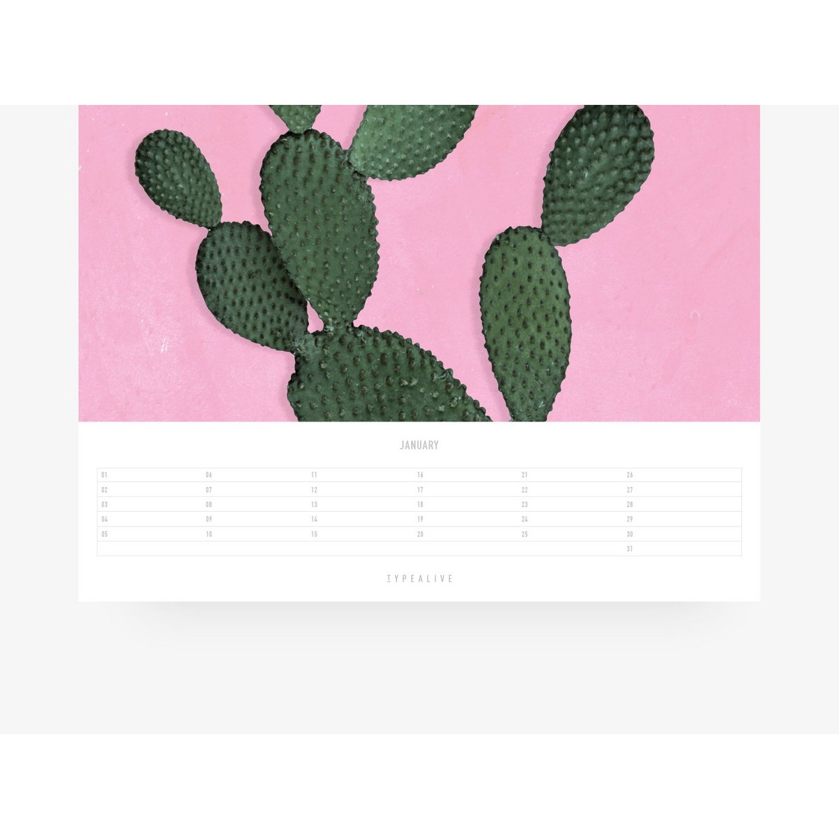 verjaardagskalender planten