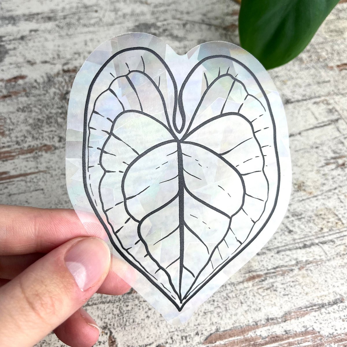 Regenboog Sticker - Anthurium Blad