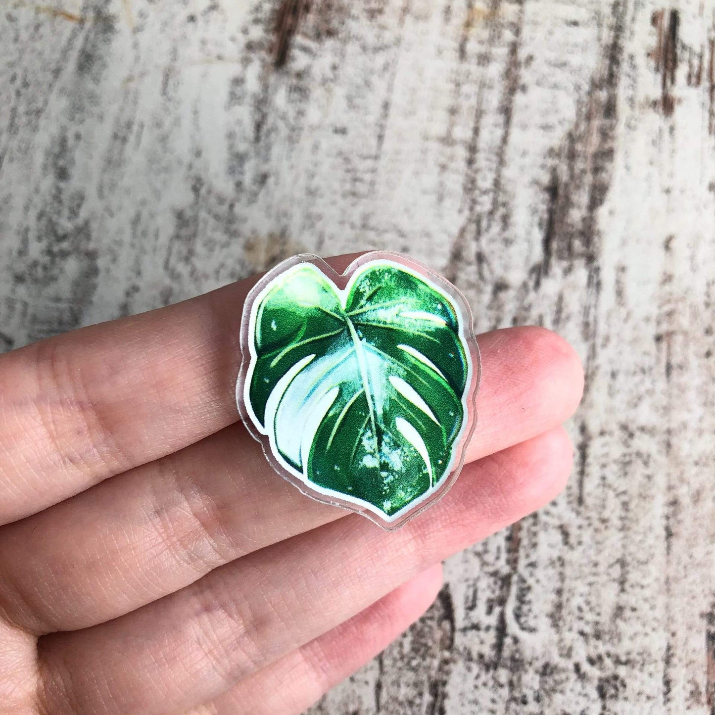Pin - Monstera Variegata Acryl