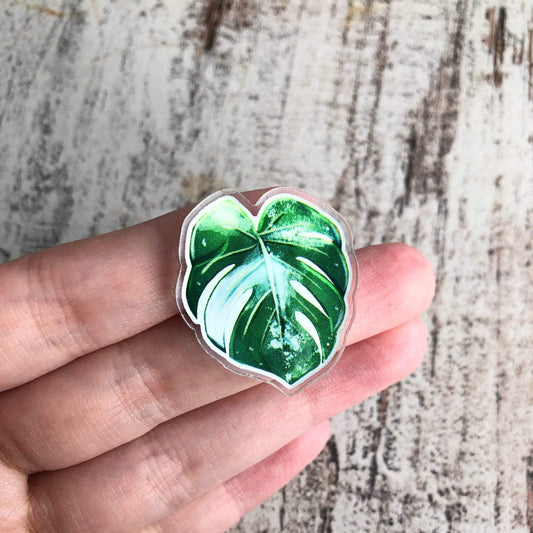 Pin - Monstera Variegata Acryl