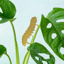 Load image into Gallery viewer, Plant Animal - Caterpillar
