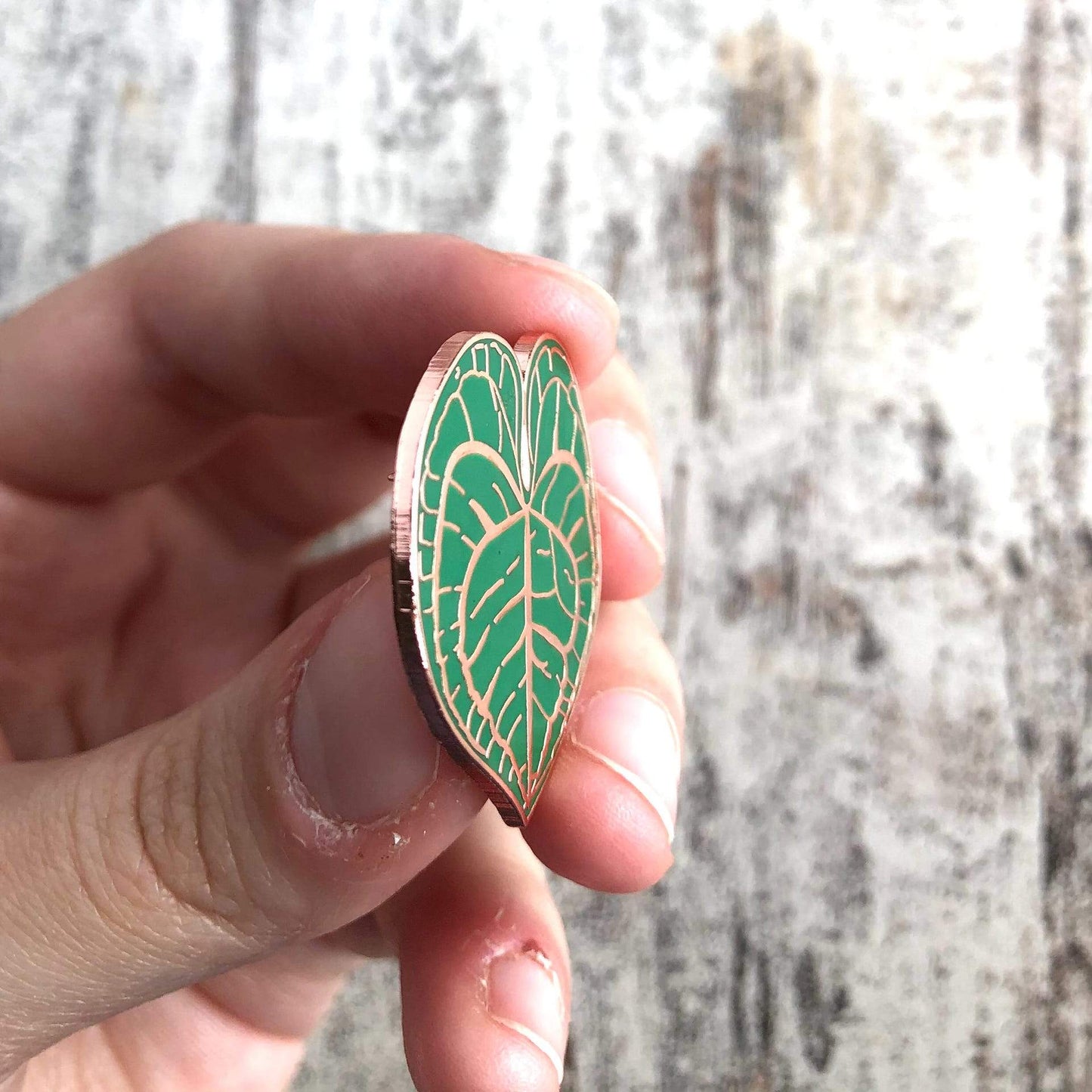 Pin - Anthurium Clarinervium