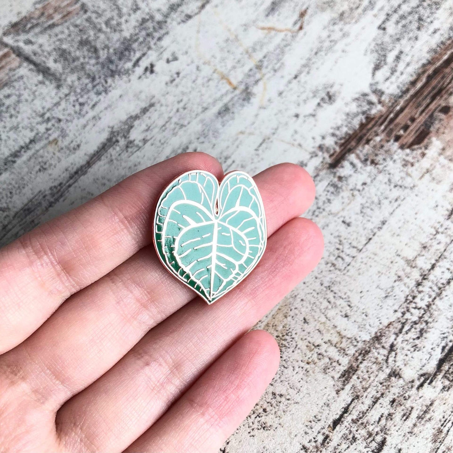 Pin - Anthurium Clarinervium