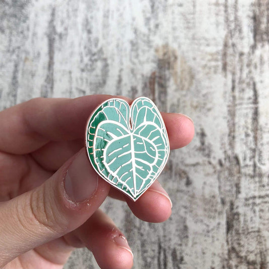 Pin - Anthurium Clarinervium