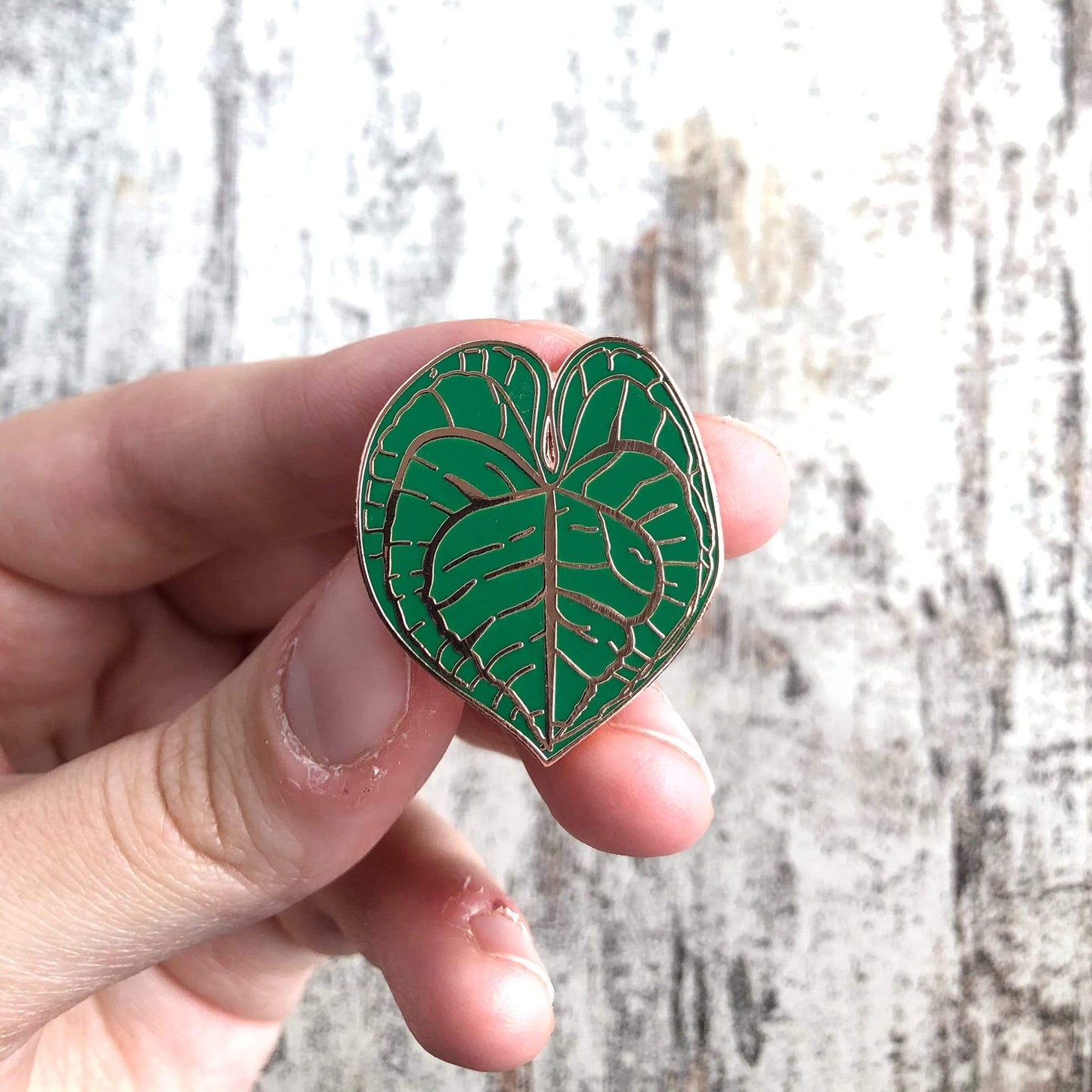 Pin - Anthurium Clarinervium