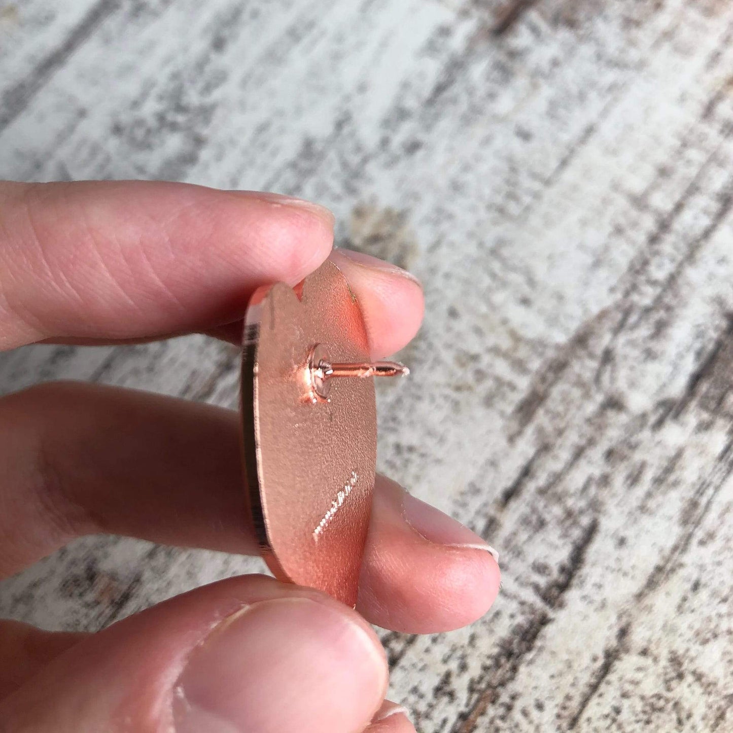 Pin - Anthurium Clarinervium