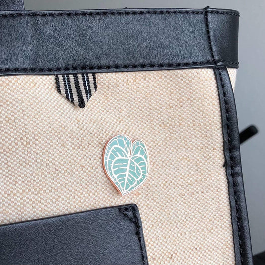 Pin - Anthurium Clarinervium