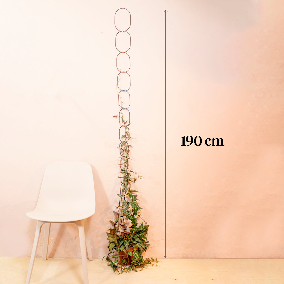 Ketting voor Klimplanten - Messing