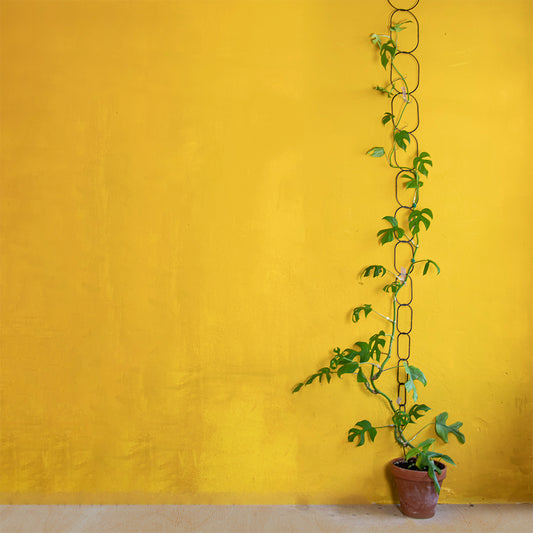 Ketting voor Klimplanten - Zwart