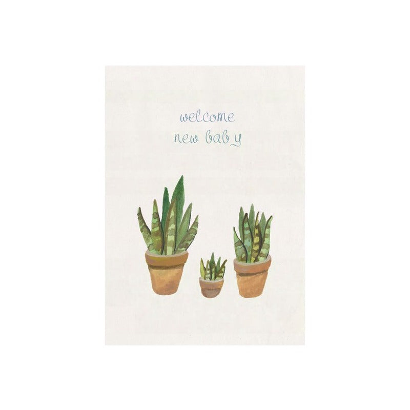 Kaart - New Baby Sanseveria