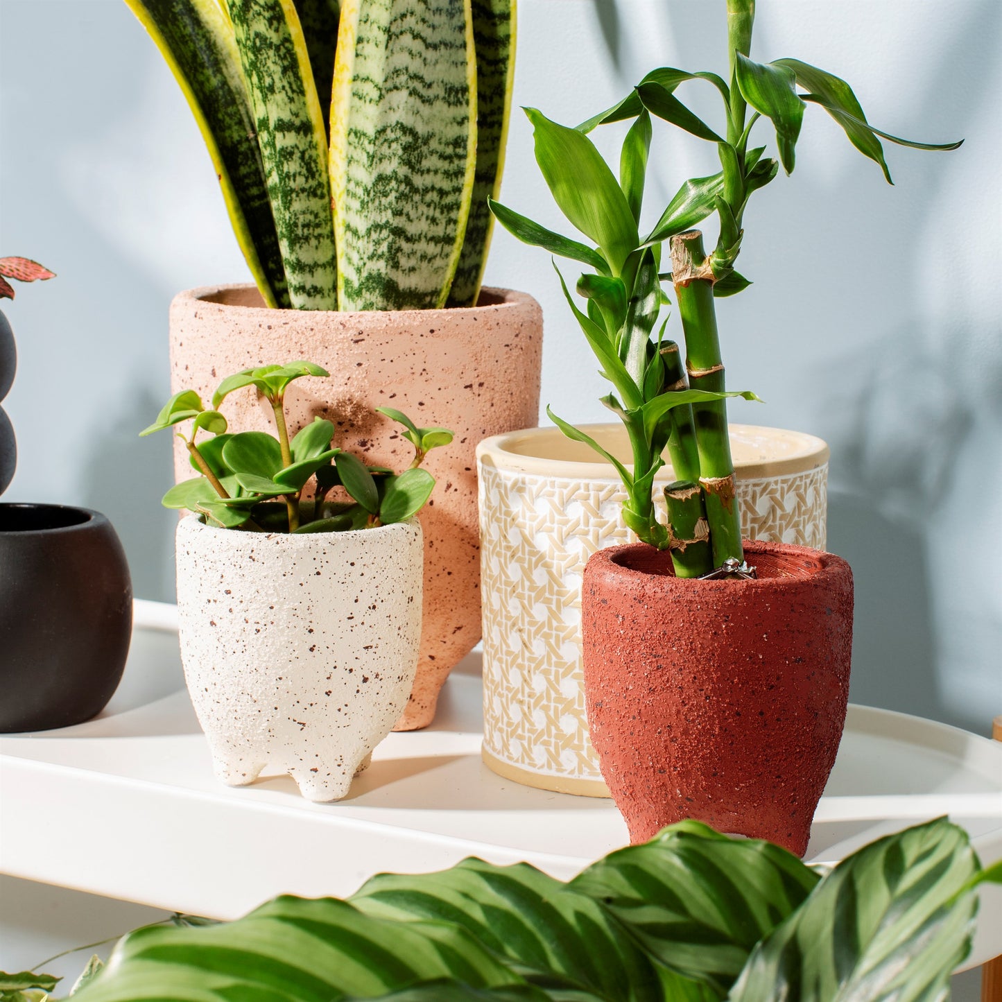 Speckled Leggy Planter - Small