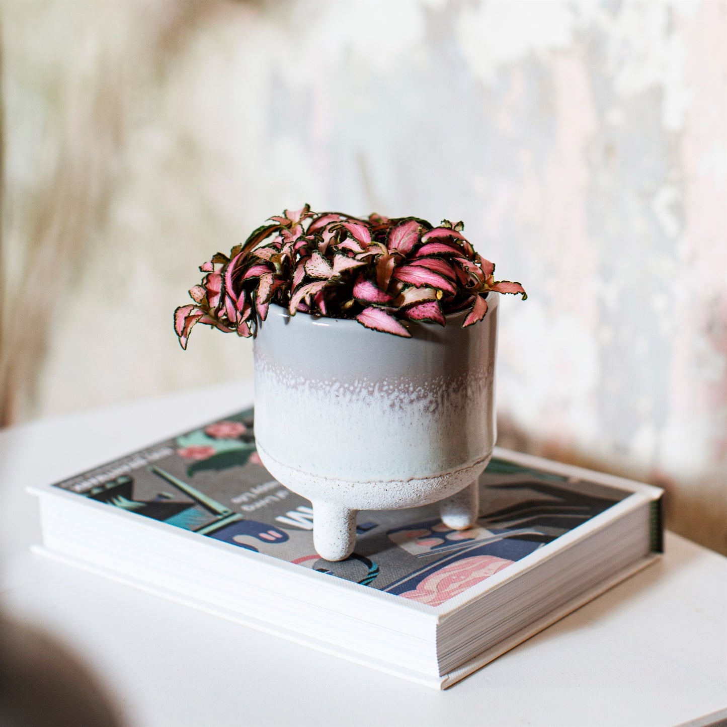 Mojave Planter - Grey