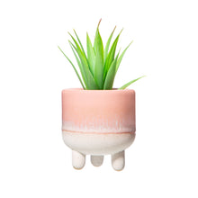 Load image into Gallery viewer, Mojave Planter - Pink
