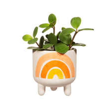 Load image into Gallery viewer, Mini Rainbow Planter
