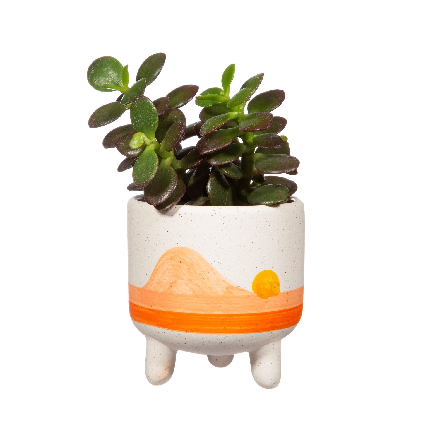 Mini Sunset Planter