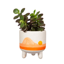 Load image into Gallery viewer, Mini Sunset Planter
