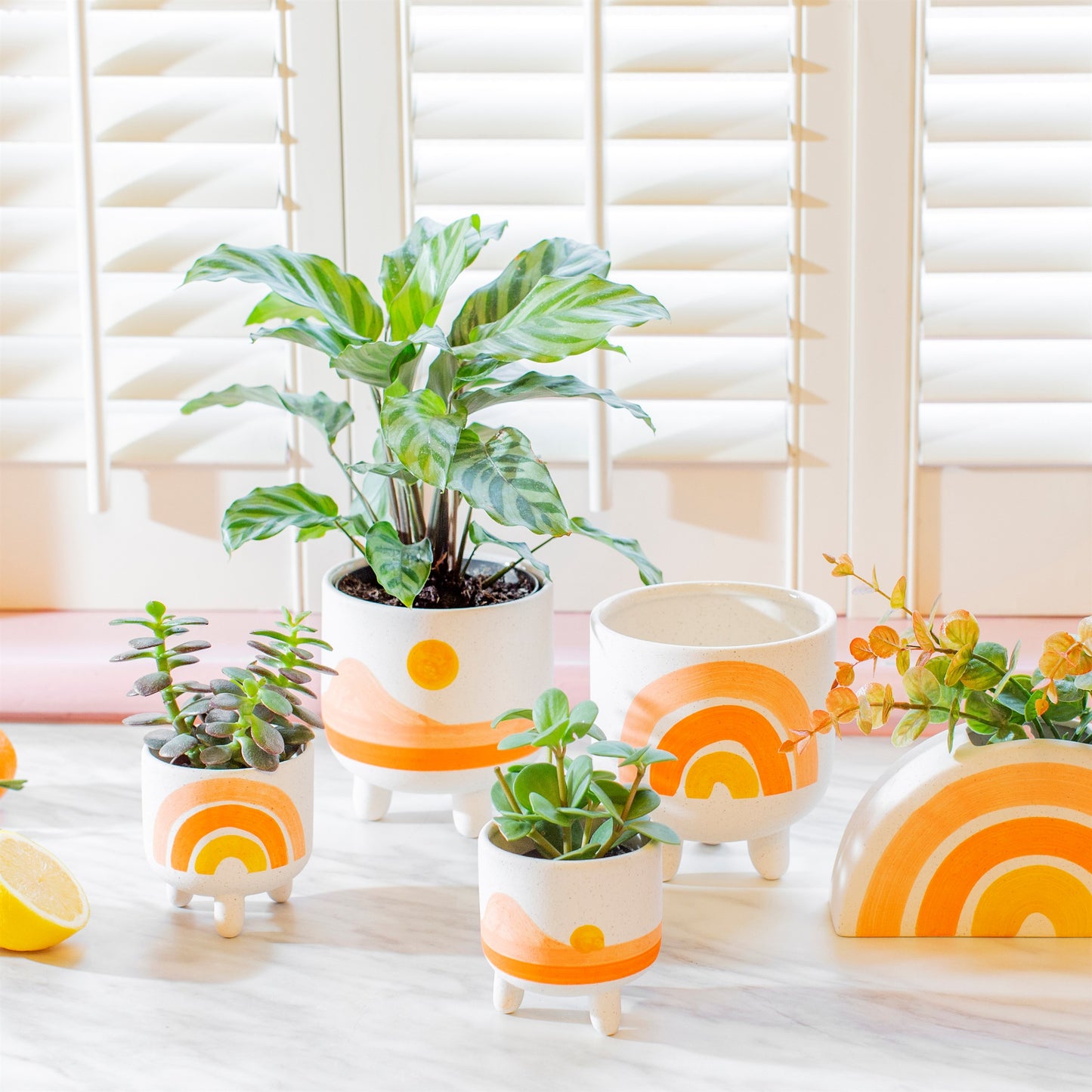 Mini Sunset Planter