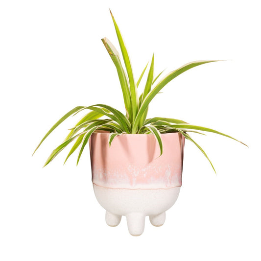 Mojave Potje L - Roze