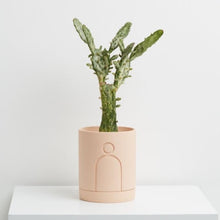 Load image into Gallery viewer, Etch Planter - Salt
