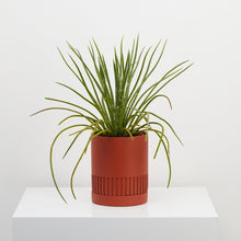 Load image into Gallery viewer, Etch Planter - Terracotta

