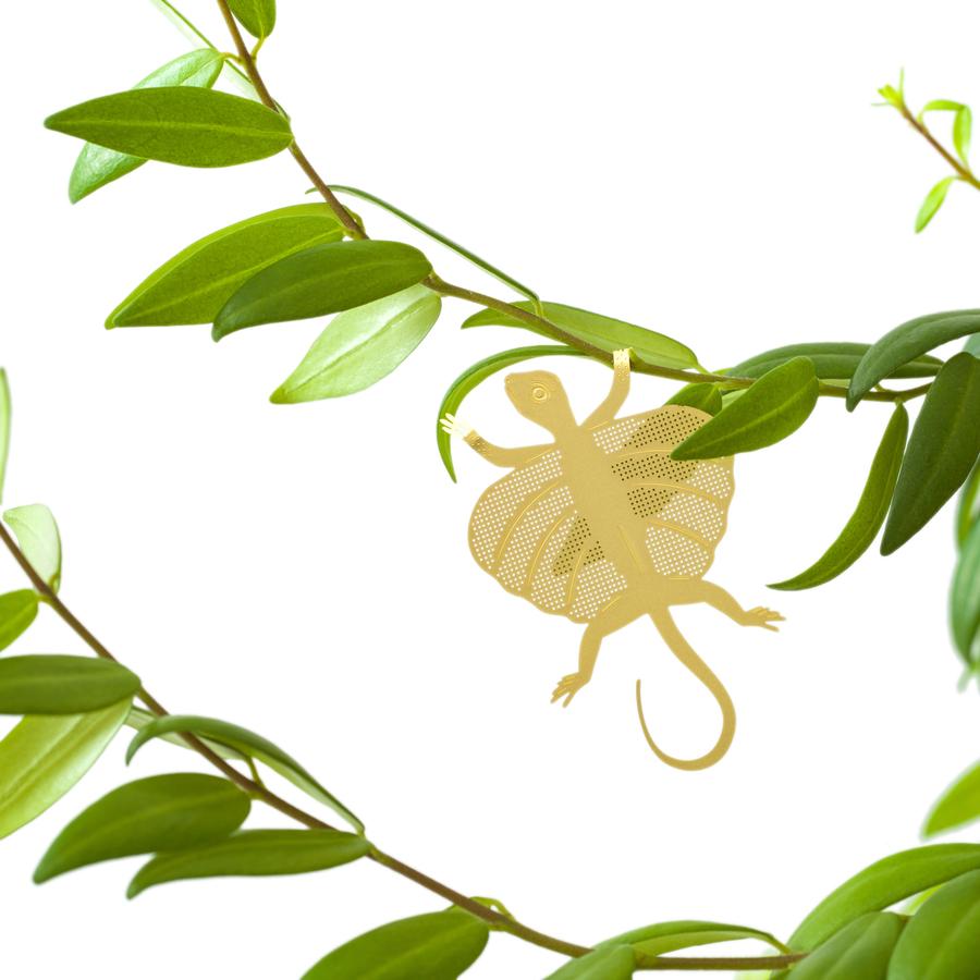 Plant Animal - Flying Lizard