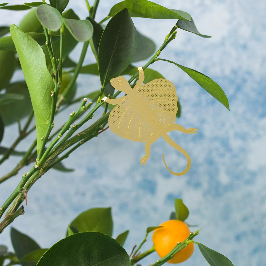 Plant Animal - Flying Lizard