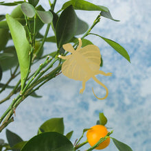 Afbeelding in Gallery-weergave laden, Plantendiertje - Vliegend Draakje
