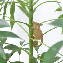 Load image into Gallery viewer, Plant Animal - Bush Baby
