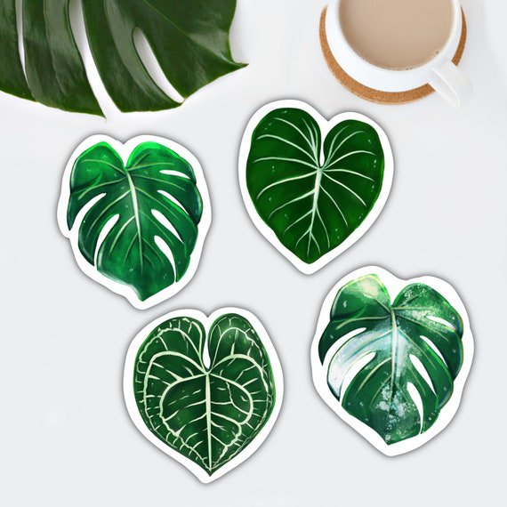 Magneten Set 3 - Planten