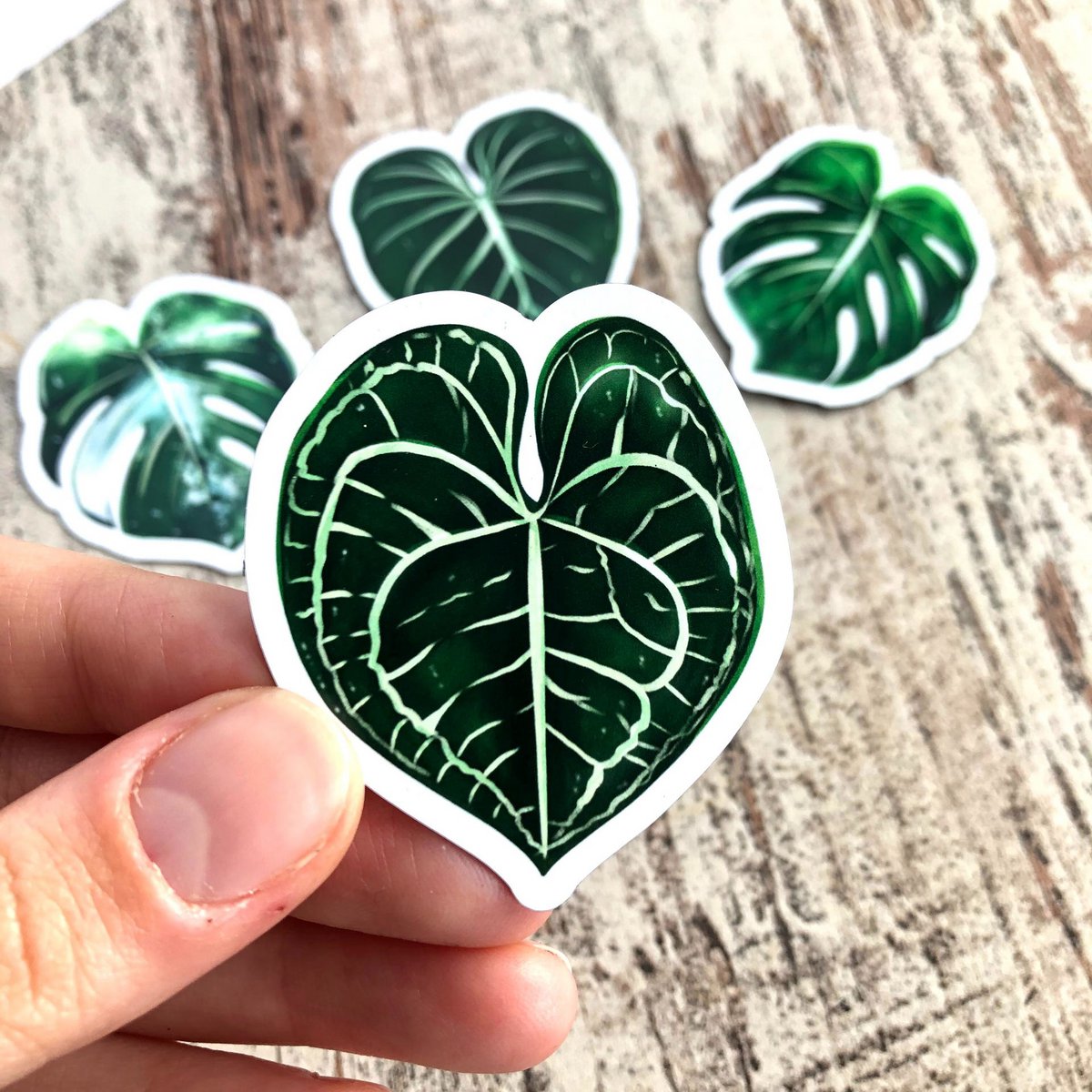 Magneten Set 3 - Planten