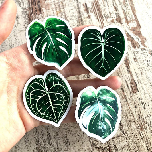 Magneten Set 3 - Planten