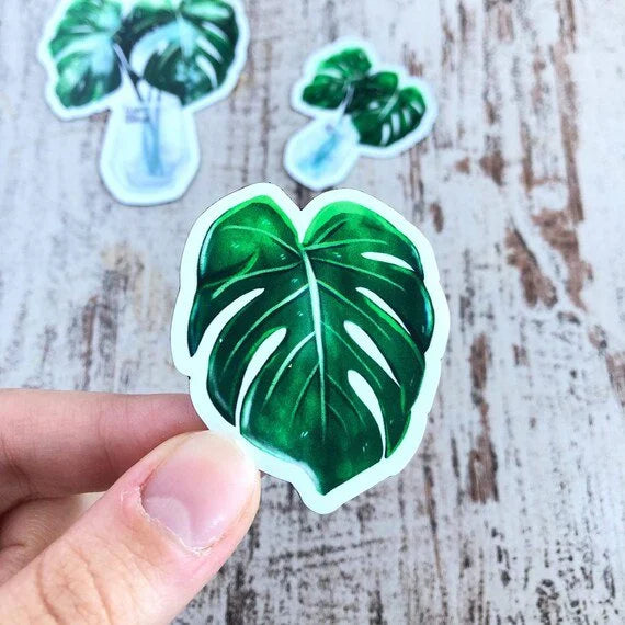 Magneten Set 3 - Planten