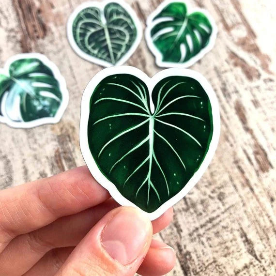 Magneten Set 3 - Planten