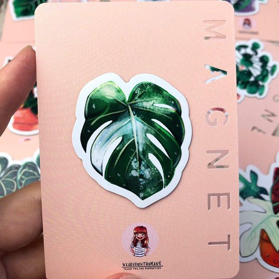 Magneten Set 3 - Planten
